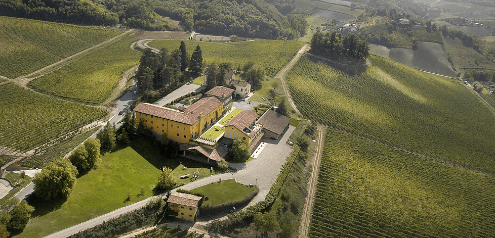 Vingård i Piemonte